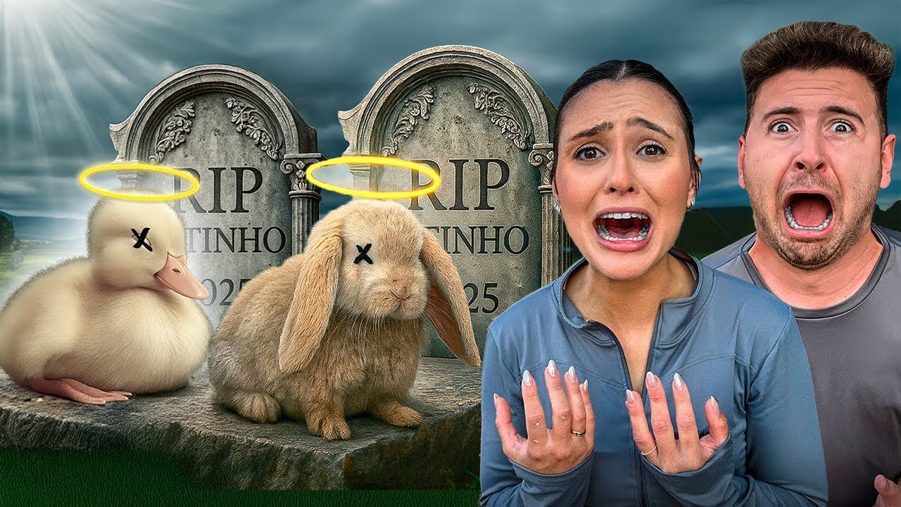 NOSSOS ANIMAIZINHOS ENCONTRADOS NO LIXO NÃO ESTÃO SOBREVIVENDO!