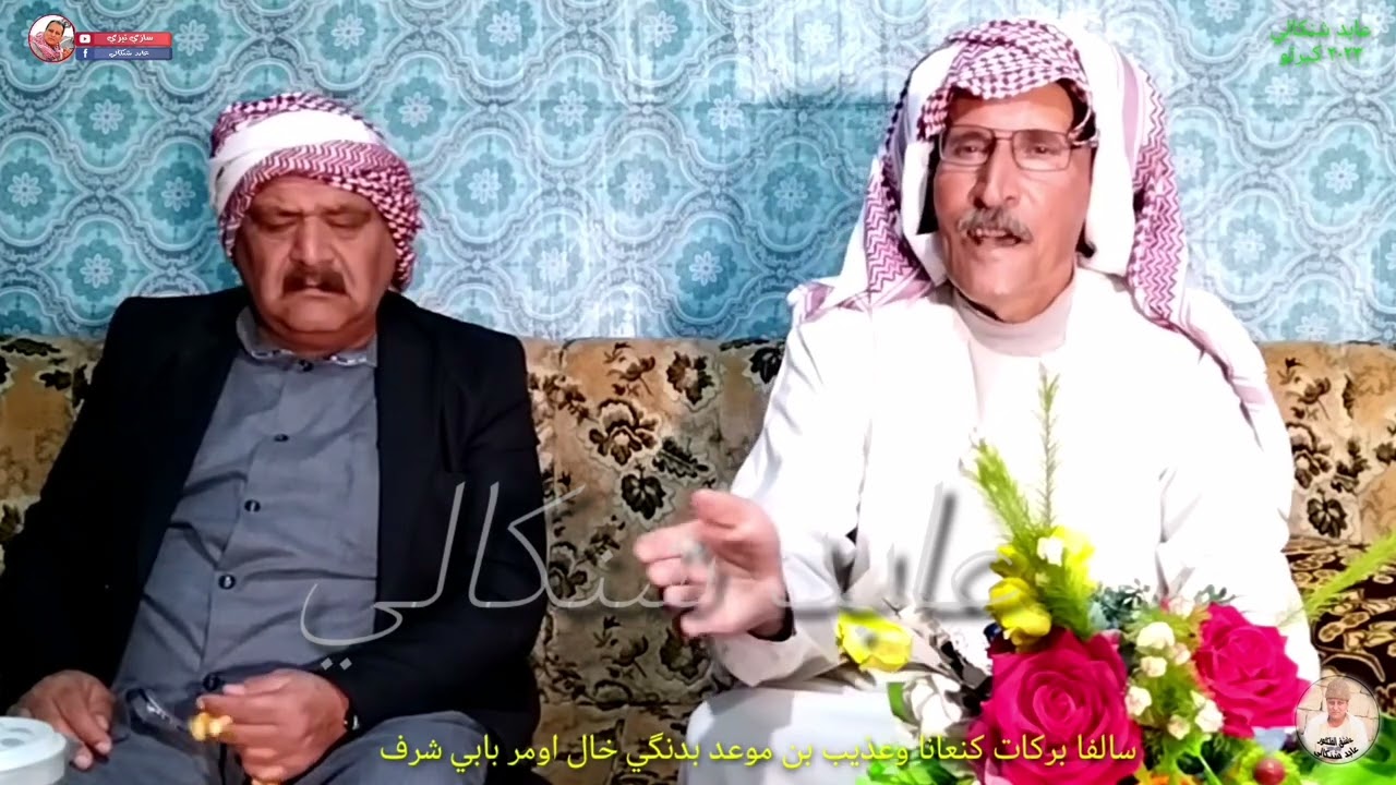 سالفا #بركات_كنعانا وعذيب بن موعد بدنگي #خال_اومر_بابي_شرف