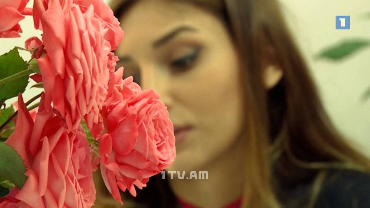 Էթիկետ. Աշխատավայրն ու կենցաղը