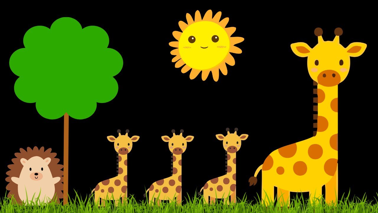Baby Sensory Video - Tummy Time - Sensory Videos for Babies - Visual Stimulation for Newborn #baby