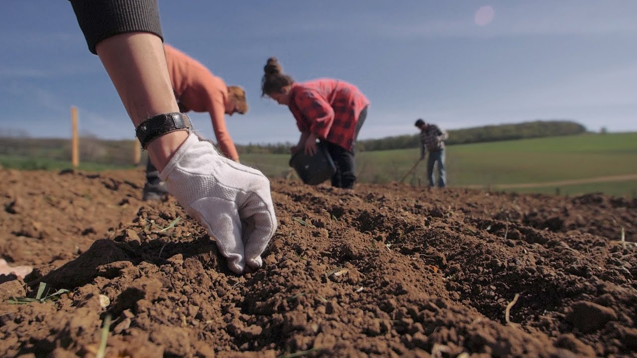 Collective Action for the future of Agroecological farming