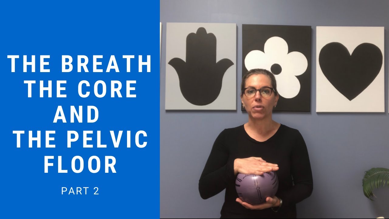 The Breath, The Core and The Pelvic Floor