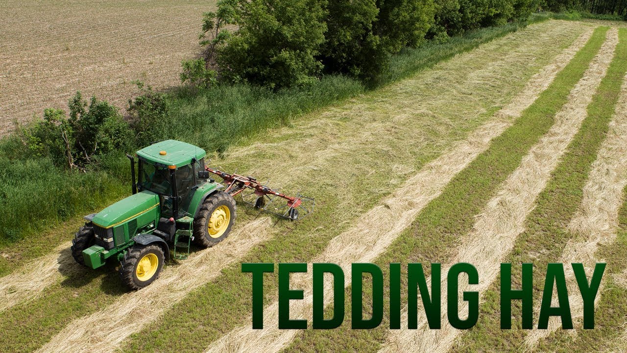 Tedding 1st Crop Hay - RhinoAg PT419H