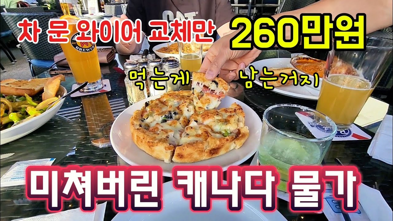 차문 수리값이 중고차 한대 값이라니.. 사과서리, 김치찌개, 치즈오믈렛, 소곰탕