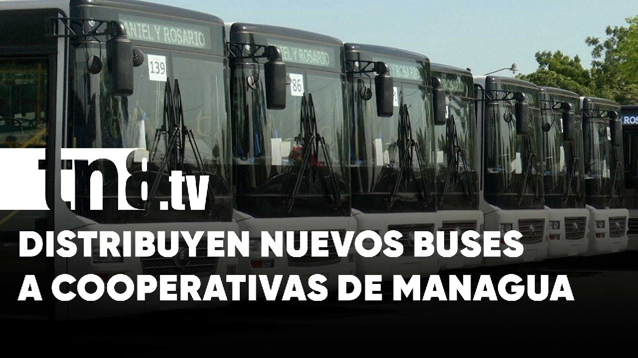 Nuevos buses Yutong se distribuyen en cooperativas de Managua