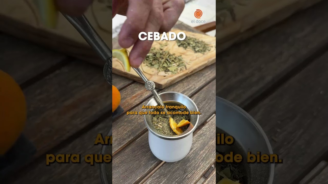 &iquest;C&oacute;mo preparar el VERDADER&Oacute; TERER&Eacute;? 🧉 &iquest;Vale con jugo? 🍊 🍋&zwj;