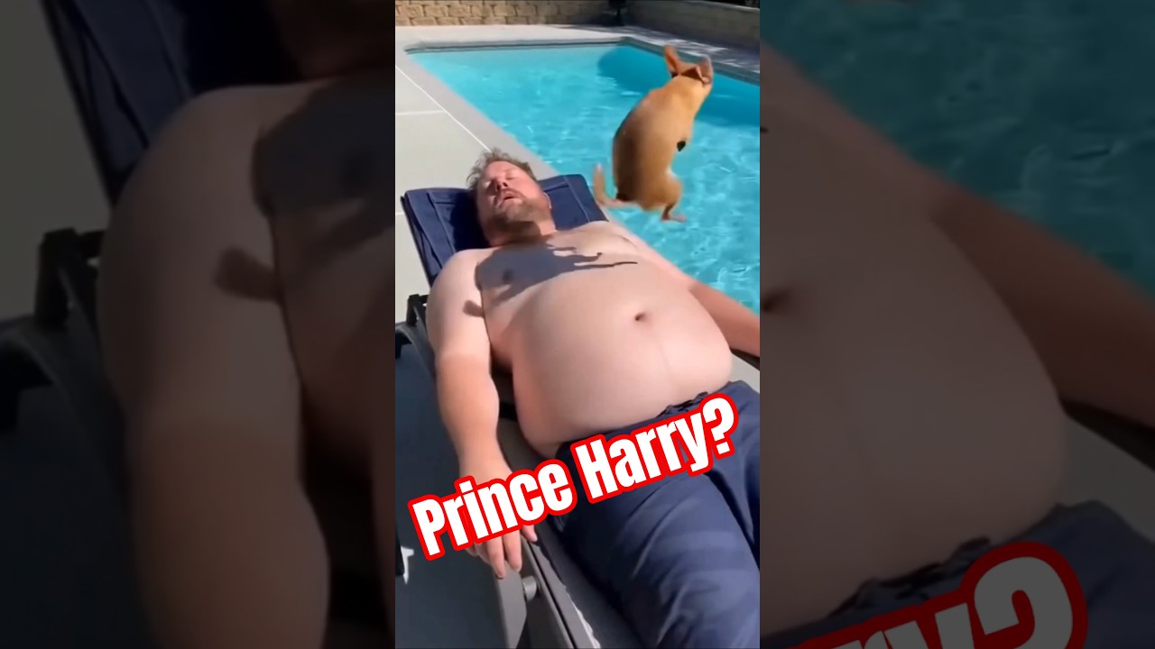 Prince Harry's Shocking New 'Work' Video! 🤣
