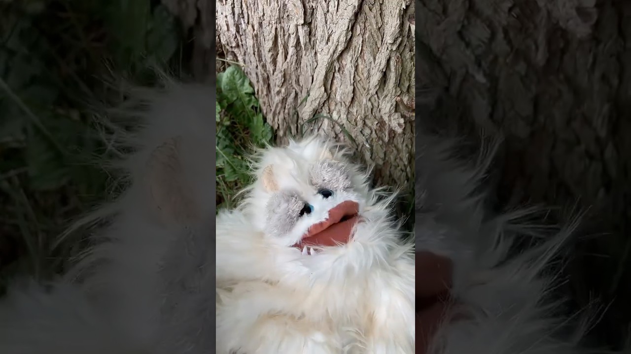 Making a friend