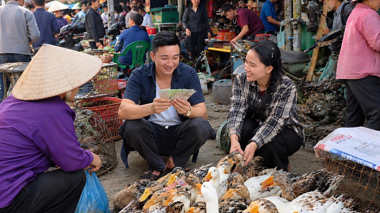 Tieu Ly and Jack work together selling ducks to save money for new plans.