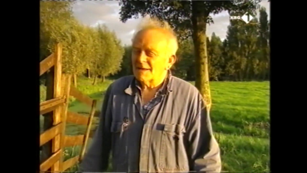 schipluiden