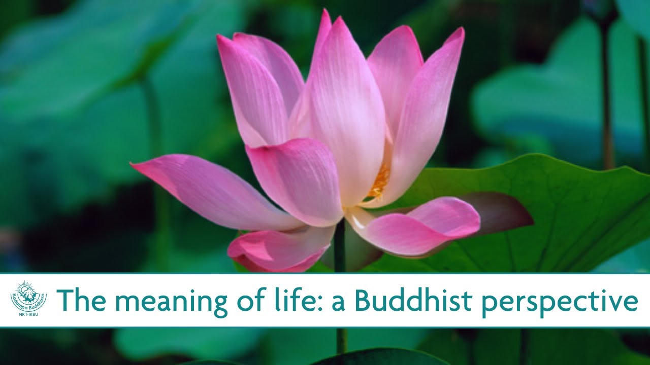 The meaning of life: a Buddhist perspective