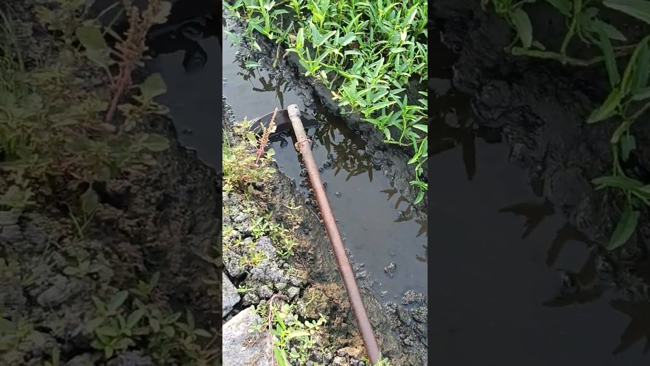 @duong thuy -u3n cuộc sống đồng quê 