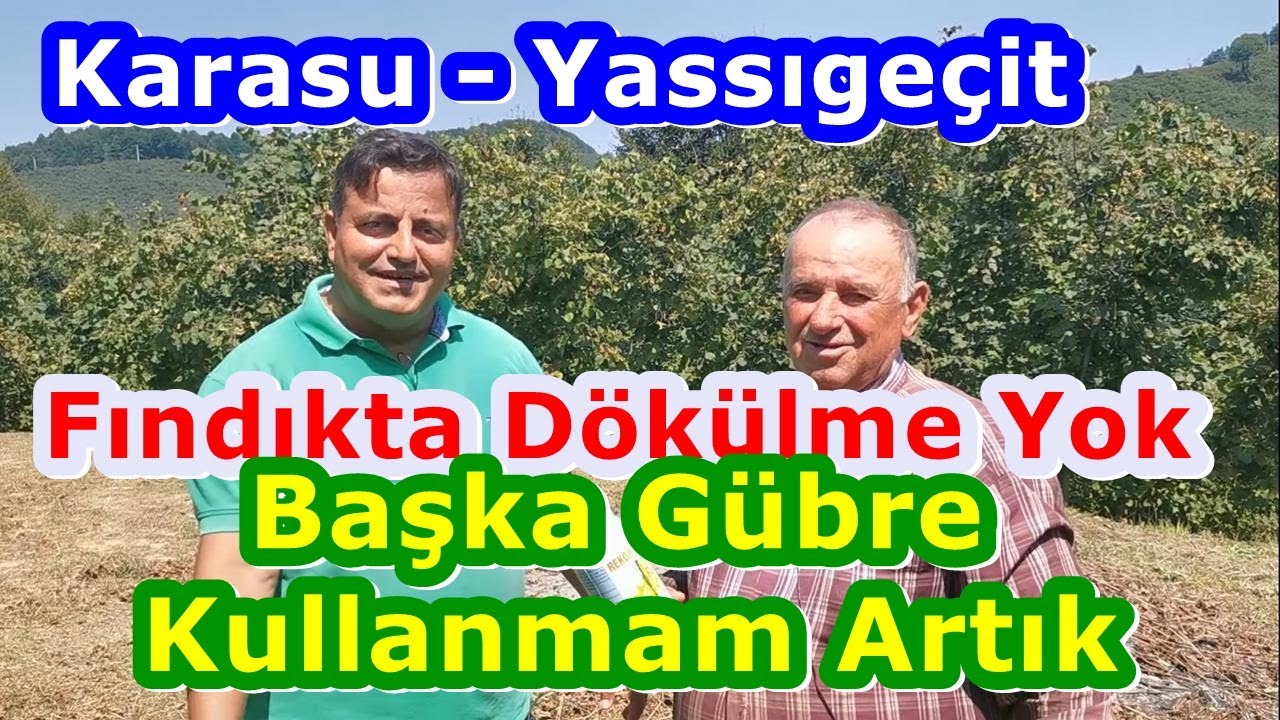 Karasu - Fındıkta Dökülmeyi Azaltmak - Randıman - İrilik - verimi Artırmak - Doğru Fındık Gübreleme