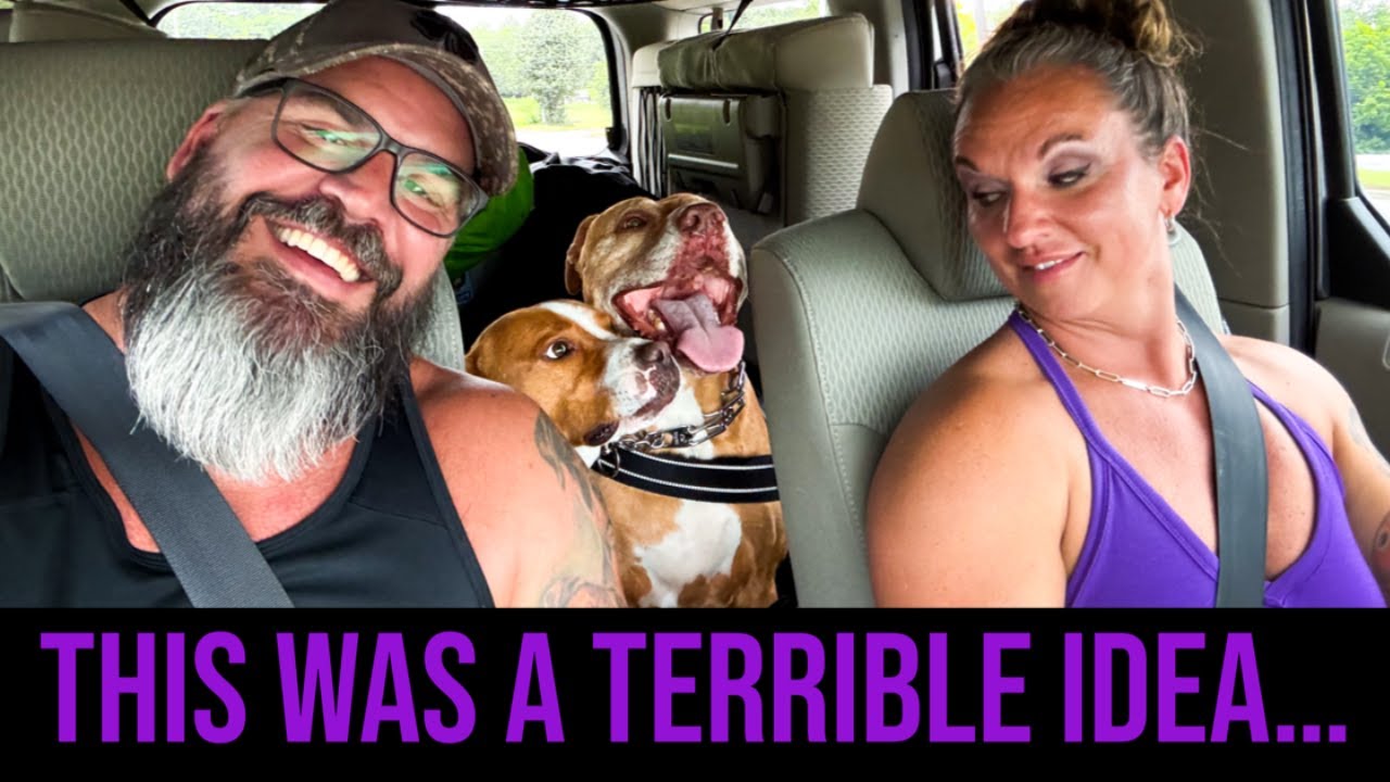 Camping with Dogs: A Peaceful Disaster