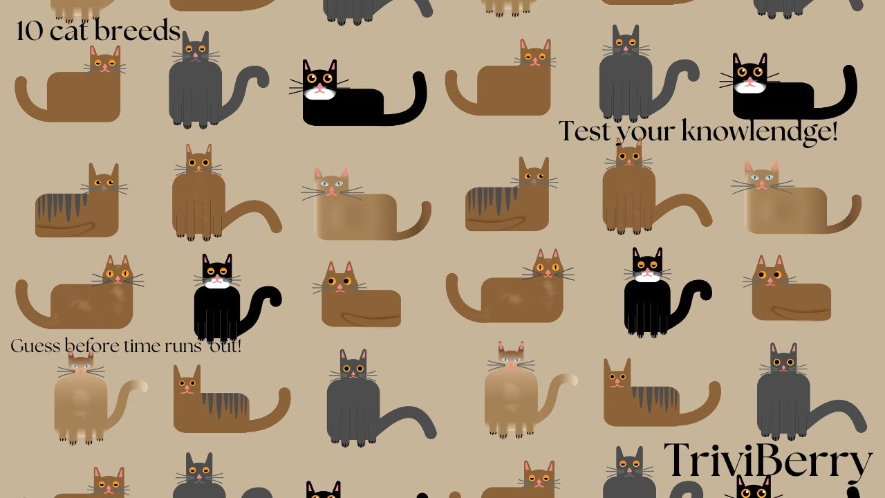 Guess the Cat Breed! 🐱 Can You Name All 10?