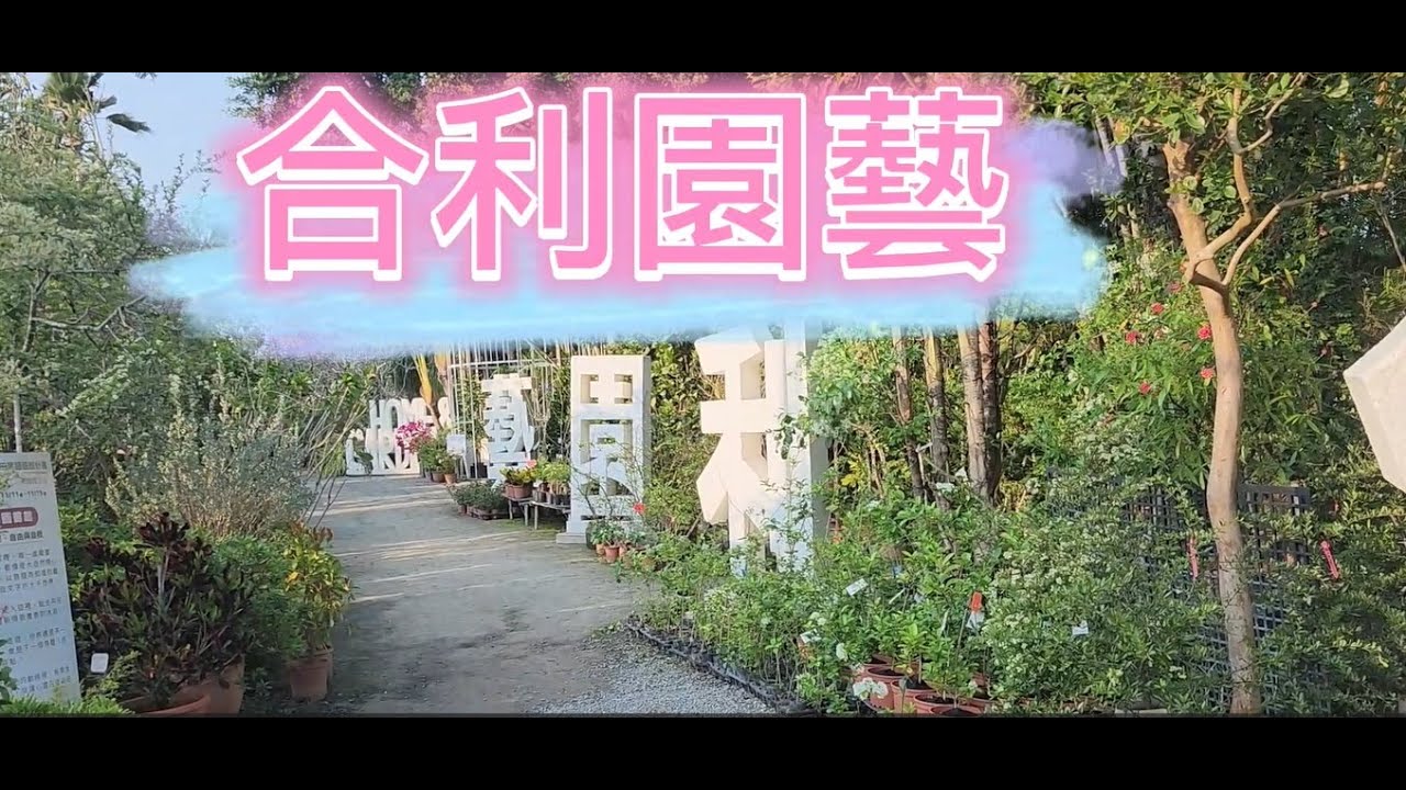 【合利園藝】-𓊈彰化縣田尾鄉𓊉-【花卉植物園】-𓊈田尾公路花園𓊉-【園藝界的IKEA】【適合親子闔家一同出遊的地點】