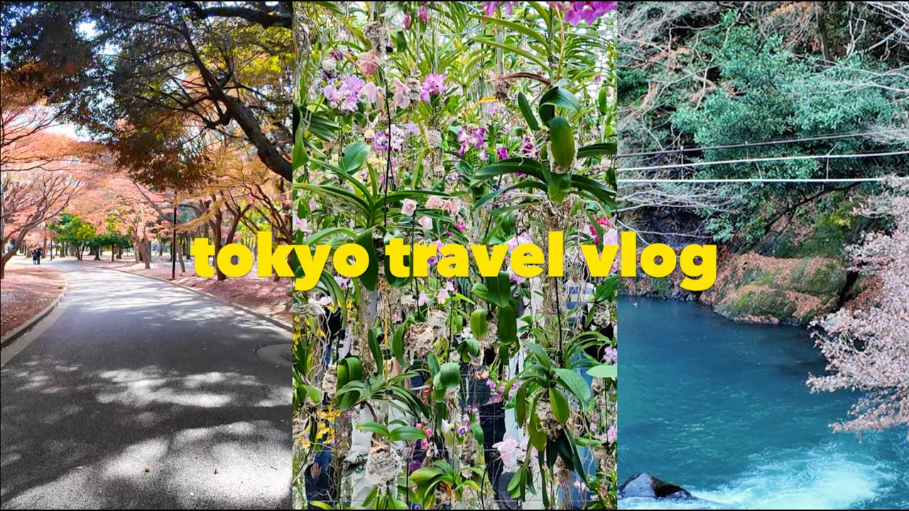 Tokyo Travel Vlog 🇯🇵 东京 | 5 Days in Tokyo for a cozy winter holiday