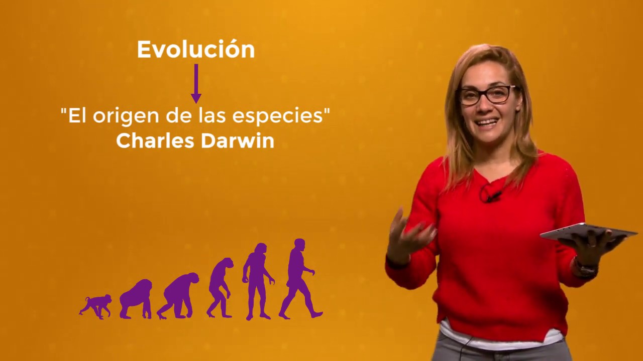 Sociología General Teleclase N°4