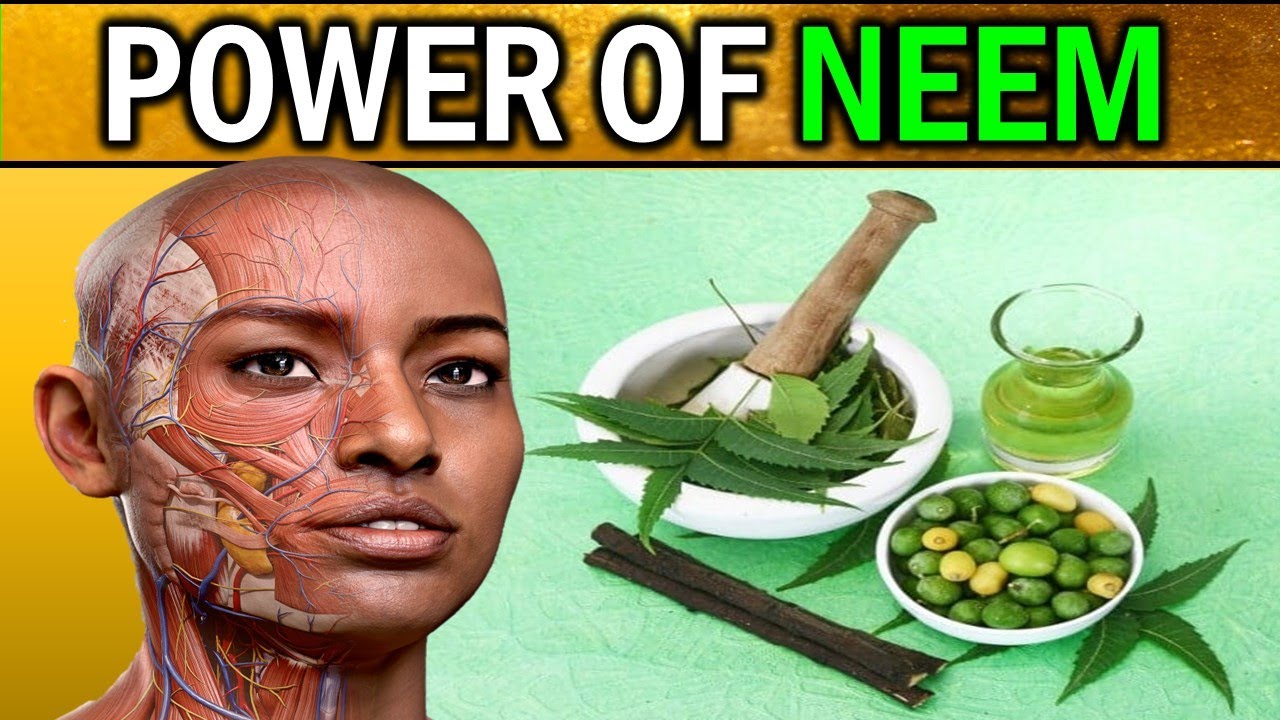14 יתרונות בריאותיים של NEEM: גלו את סודות הריפוי של הטבע