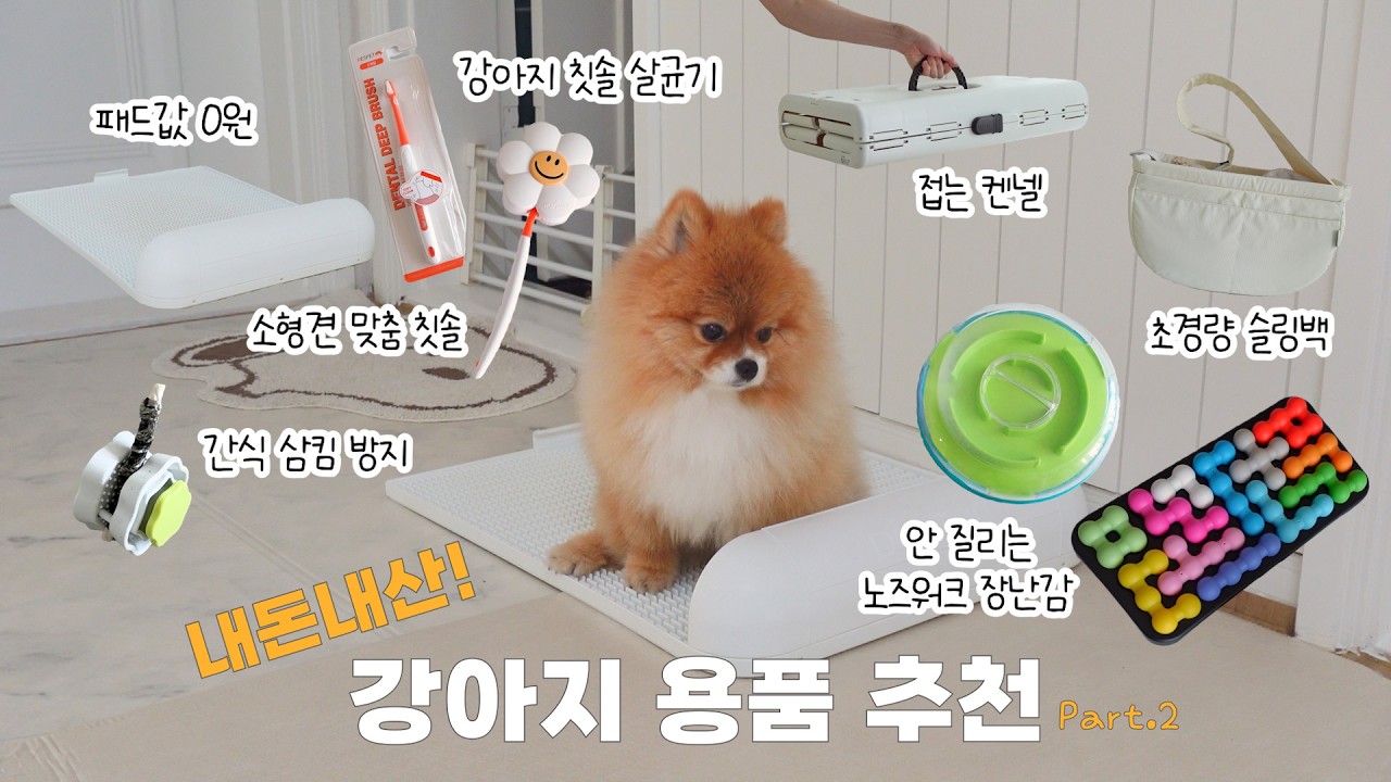 여러분의 돈낭비를 막아드립니다💸내돈내산 '강아지용품 정착템 9가지'🐶✨ | Part.2