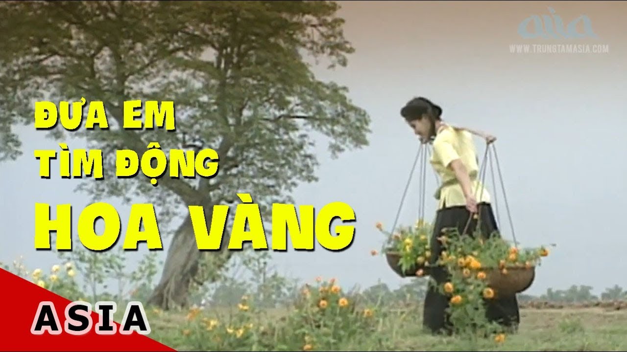 Đưa Em Tìm Động Hoa Vàng | Thơ: Phạm Thiên Thư, Nhạc:Phạm Duy  | Duy Quang