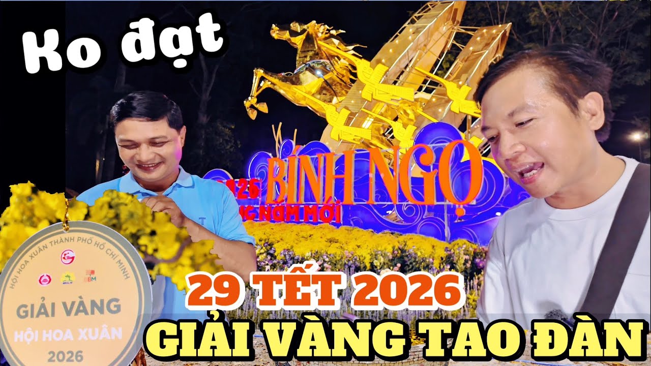 Xem giải vàng Tao Đàn 29 Tết 2026 Thành Công lắc đầu chia sẻ góc nhìn thẳng thắn 10 cây mai vàng đẹp
