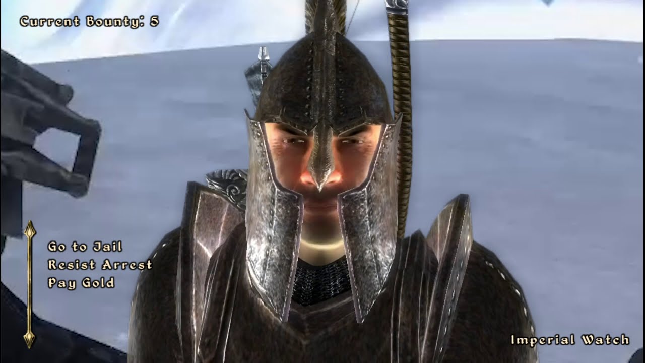 Oblivion Guards Appear in Halo Multiplayer
