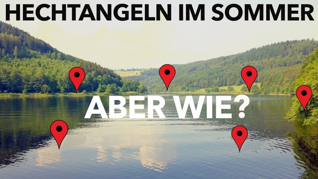 HECHTANGELN im HOCHSOMMER - meine 5 besten Tipps | Fishing-King.de