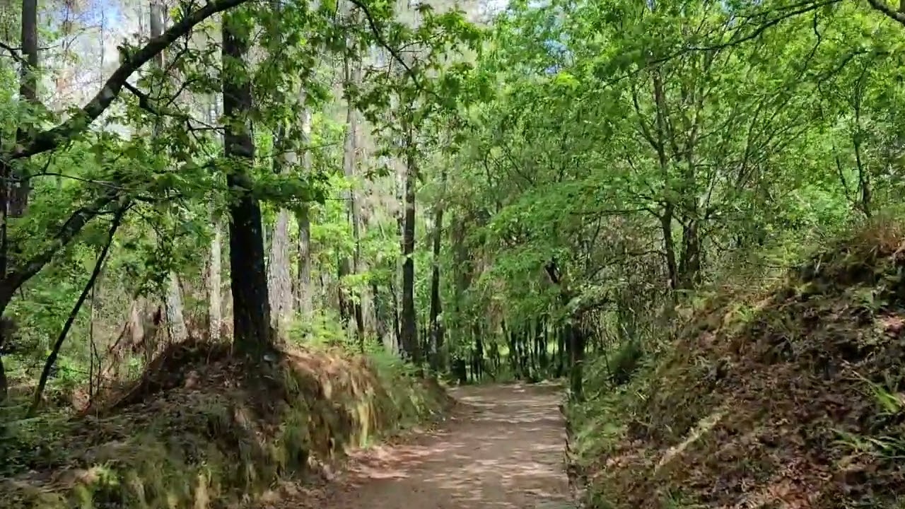 Camino de Santiago Vlog - Day 12 - Valença to O Porrino