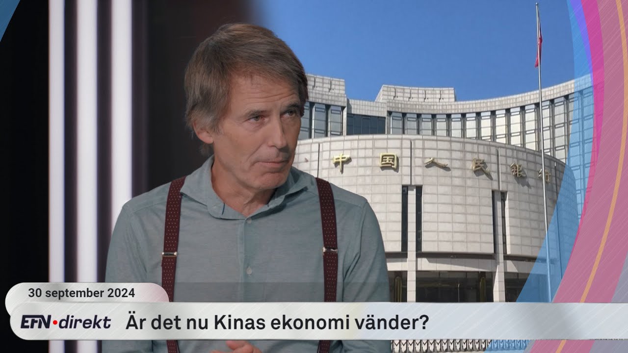 Hemberg: "Elbilarna är på väg tillbaka, inte döda som folk trodde"