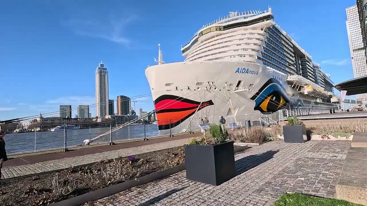 Porto Rotterdam - Sonic Walks