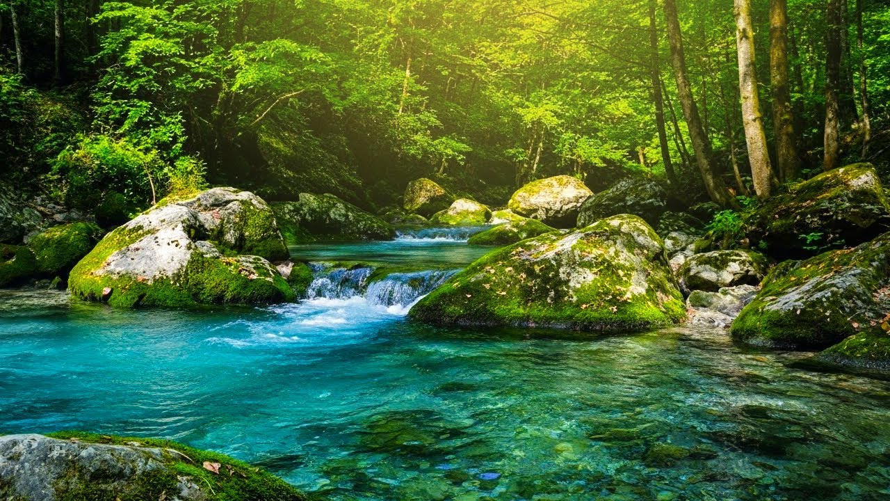 Fall Asleep Fast with Calming Nature Sounds 🌿 River Stream & Forest Birds, ASMR