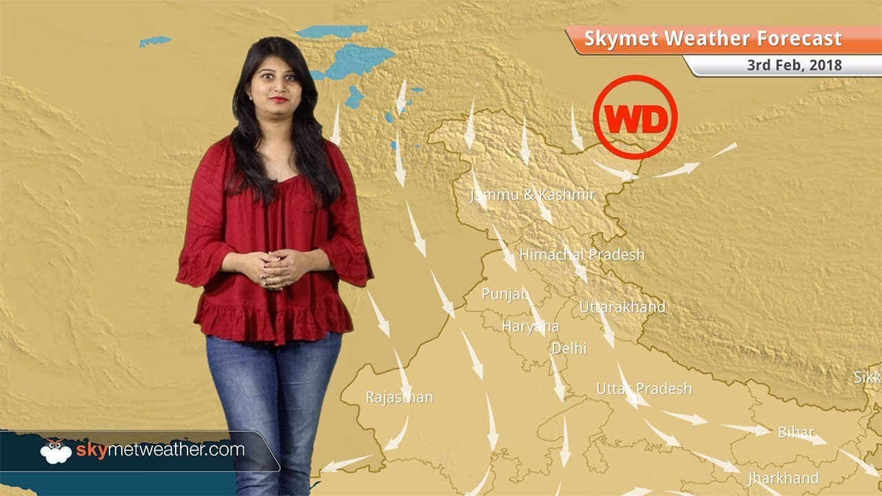 Weather Forecast for Feb 3: Dry weather in Chennai, Mumbai, Delhi, Kolkata, Bengaluru