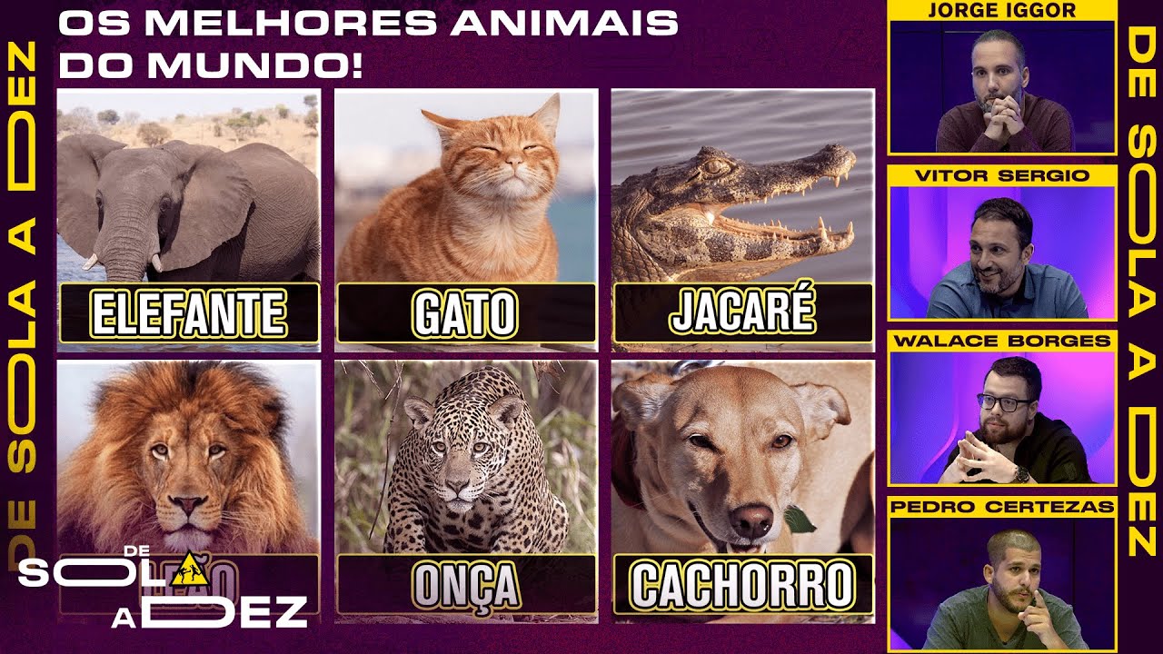 QUAL É O MELHOR ANIMAL DO MUNDO? CRAVAMOS! | DE SOLA A DEZ