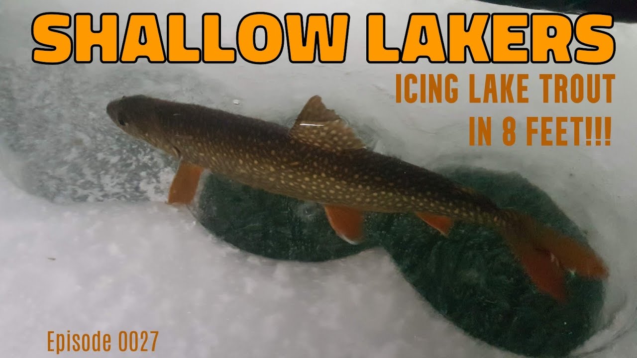 Ice fishing lake trout in shallow water 8 FEET!!!