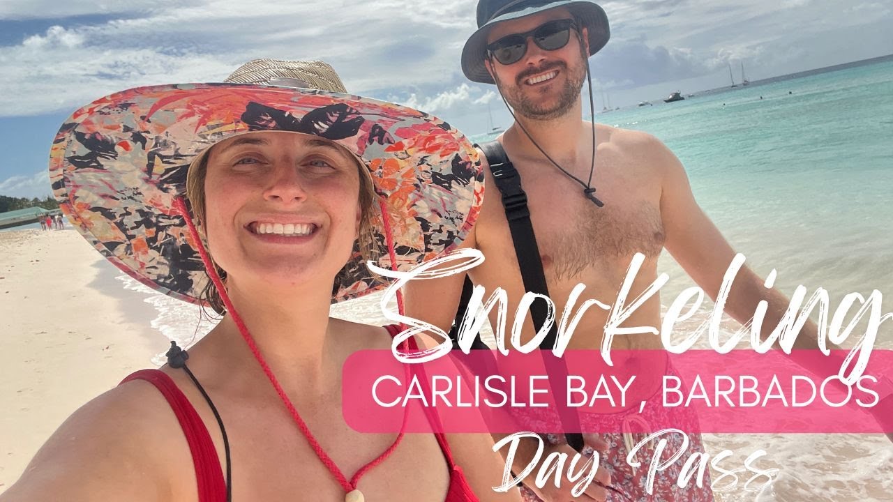 Carlisle Bay Snorkeling & Harbor Lights Day Pass- Bridgetown, Barbados Cruise Port
