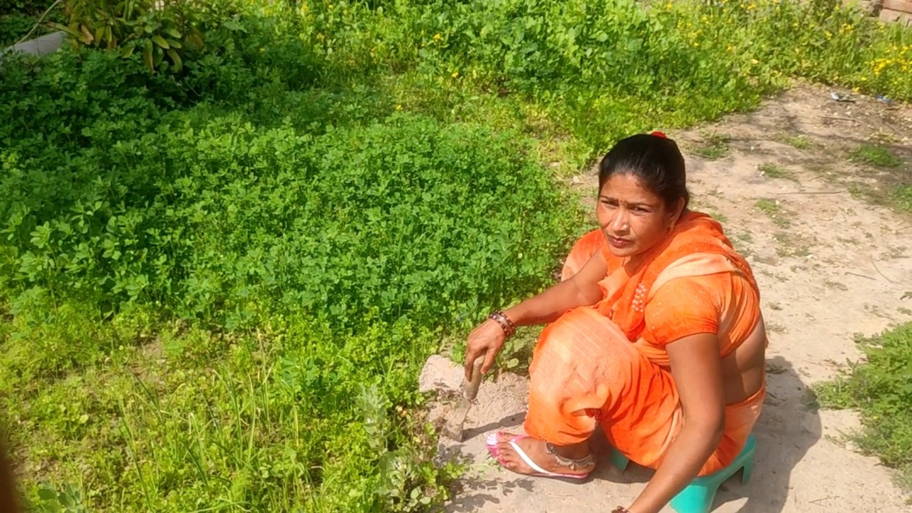 Mummy ji ke sath garden ki safai ki🥲