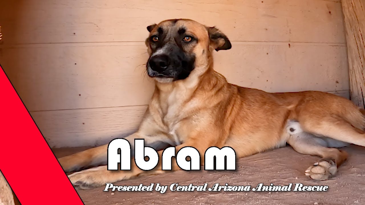 Abram