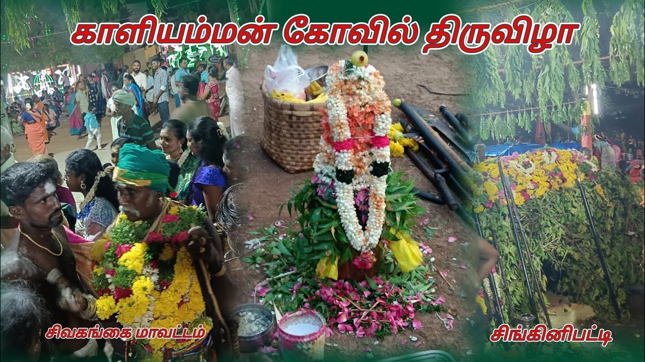 காளியம்மன் கோவில் திருவிழா 2024/ சிங்கினிபட்டி, சிவகங்கை மாவட்டம்.