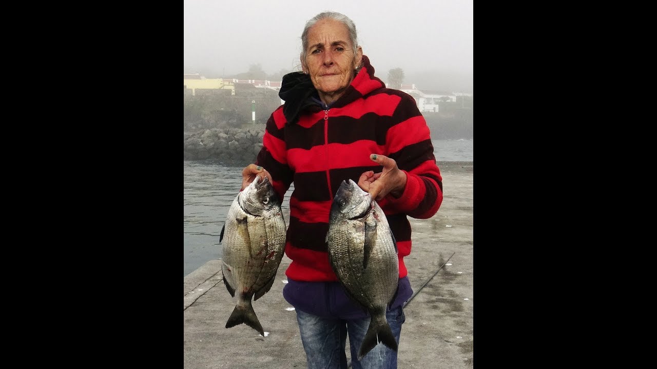 Fishing Silver / White Seabream / Pesca ao Sargo  /Pêche de sar/  دنيس  الدنيس الأبيض