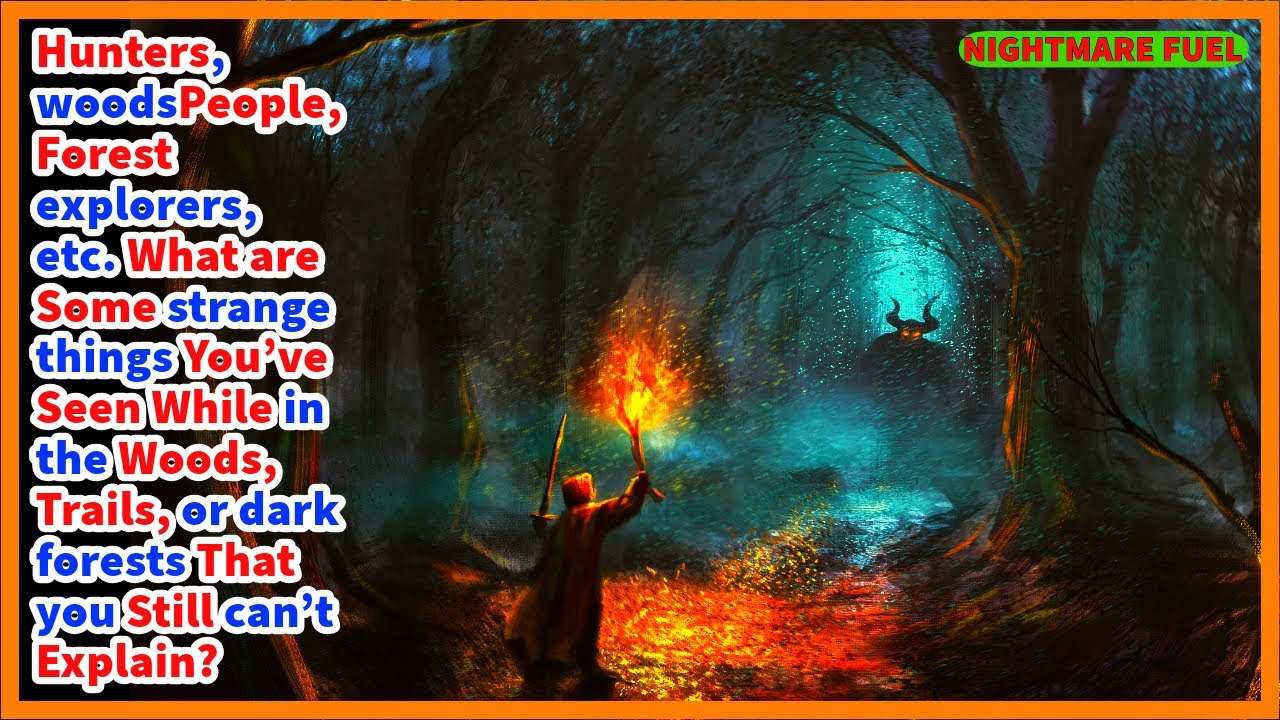 Hunters, woods/forest people, etc. What are some strange things you’ve seen while in the woods?