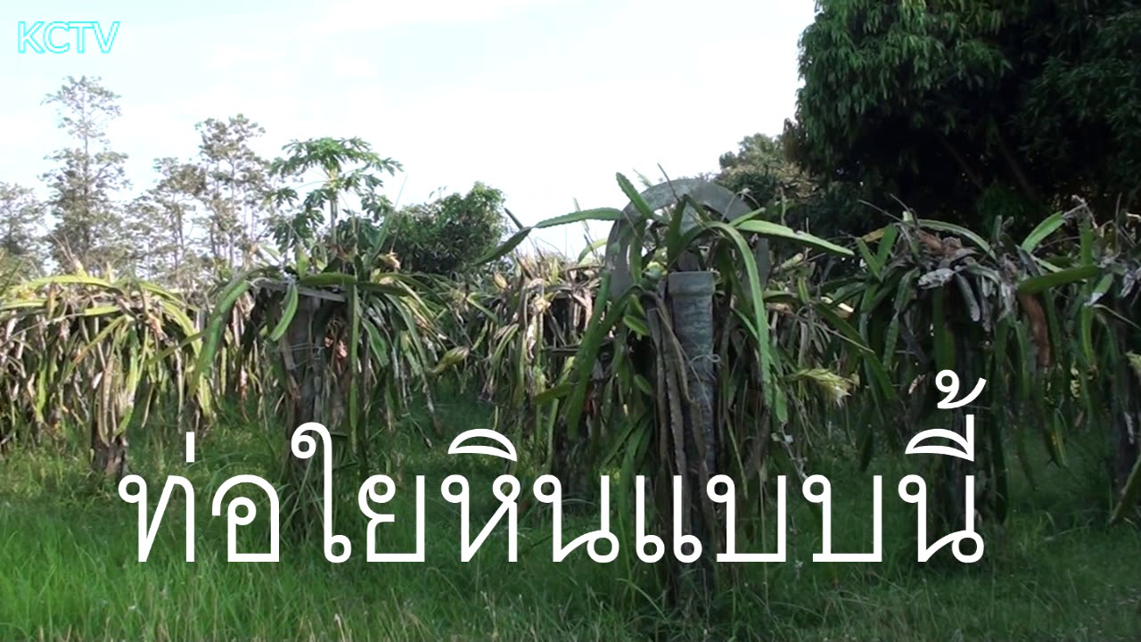 เสาแก้วมังกรแบบเสารั้วปะทะเสาแบบท่อใยหิน