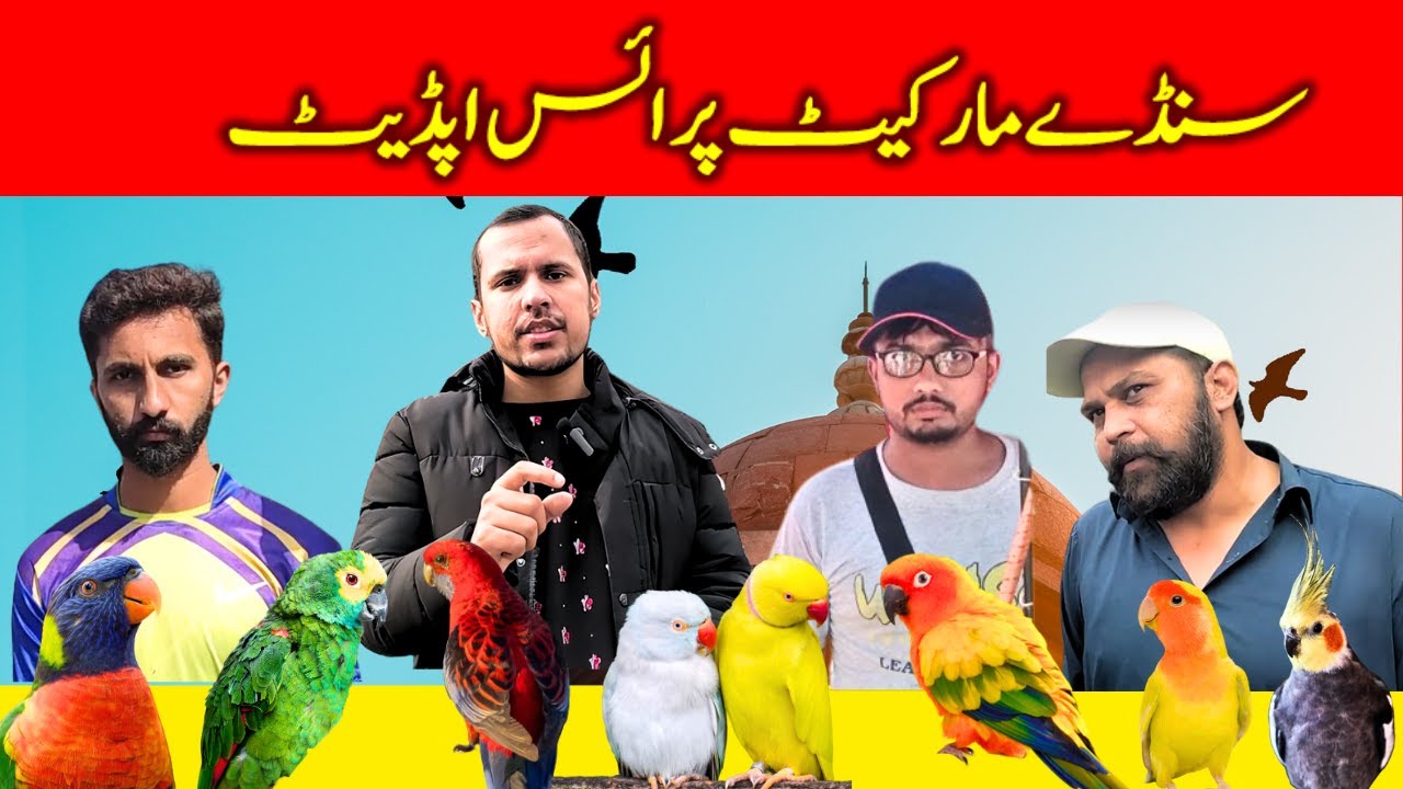 Sunday Birds Market || Shalamar Garden Birds market, Lahore