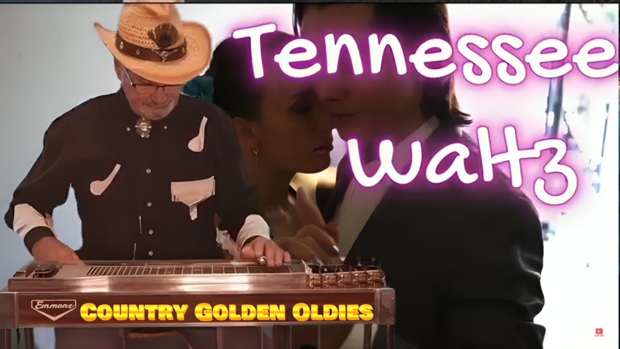 Tennessee Waltz  -  Gerrie Snyman ( Pedal Steel )