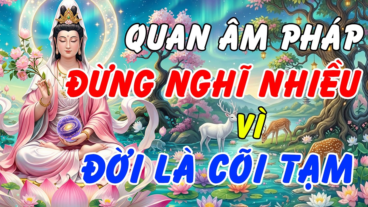 Phật Dạy: Đừng Nghĩ Quá Nhiều, Đời Là Cõi Tạm - Nghe Pháp Này Tâm An Lạc, Ngủ Ngon Tức Thì