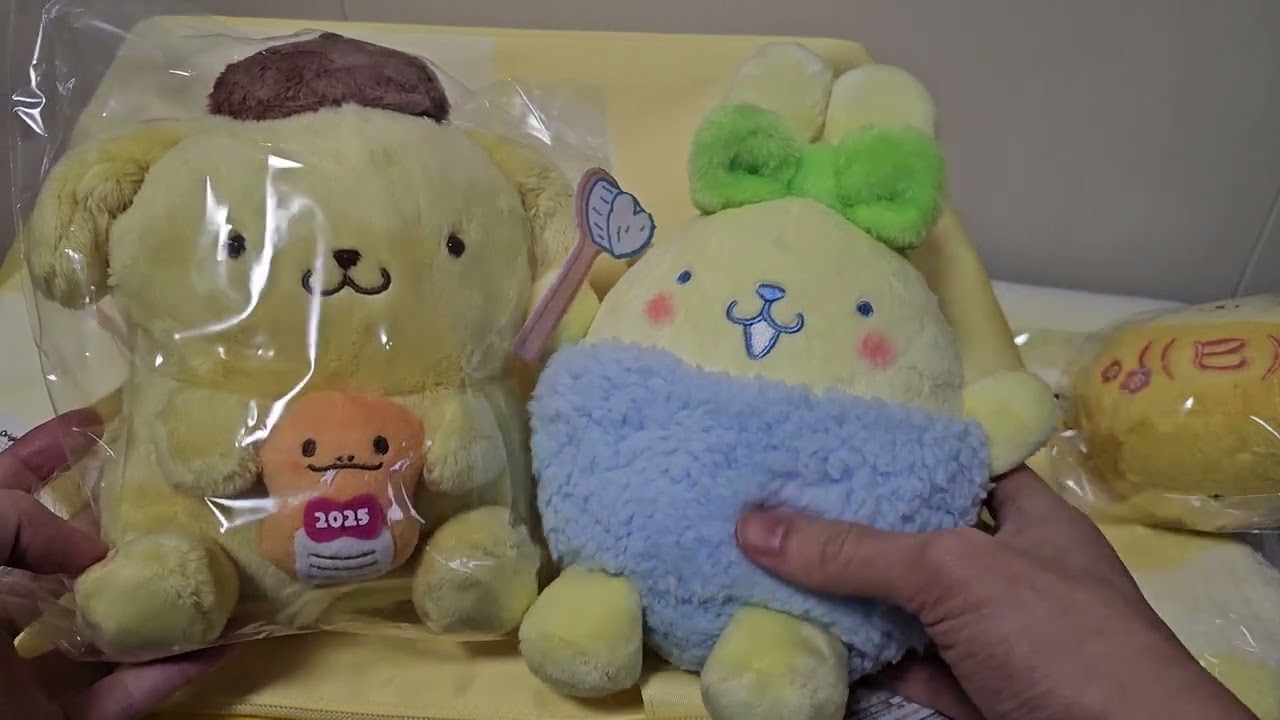 [Fukubukuro] Sanrio+ Pompompurin Lucky Bag 2025!!