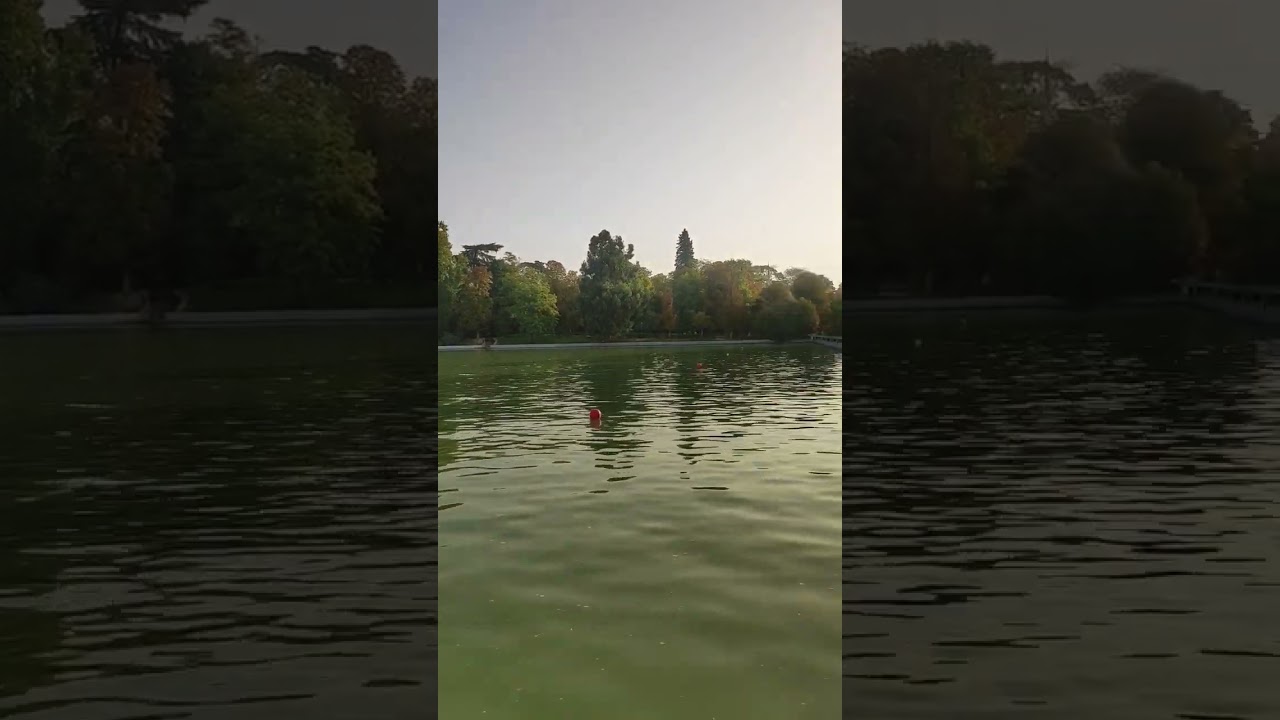 MADRID, PARK RETIRO, PARQUE EL RETIRO, MUSIC, CHILLOUT #shorts #shots #madrid #spain #espa&ntilde;a