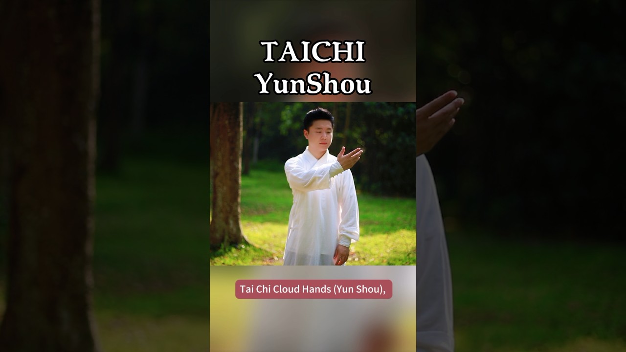 Tai Chi Cloud Hands (Yun Shou)#WUDANG #taichi #养生 #ai