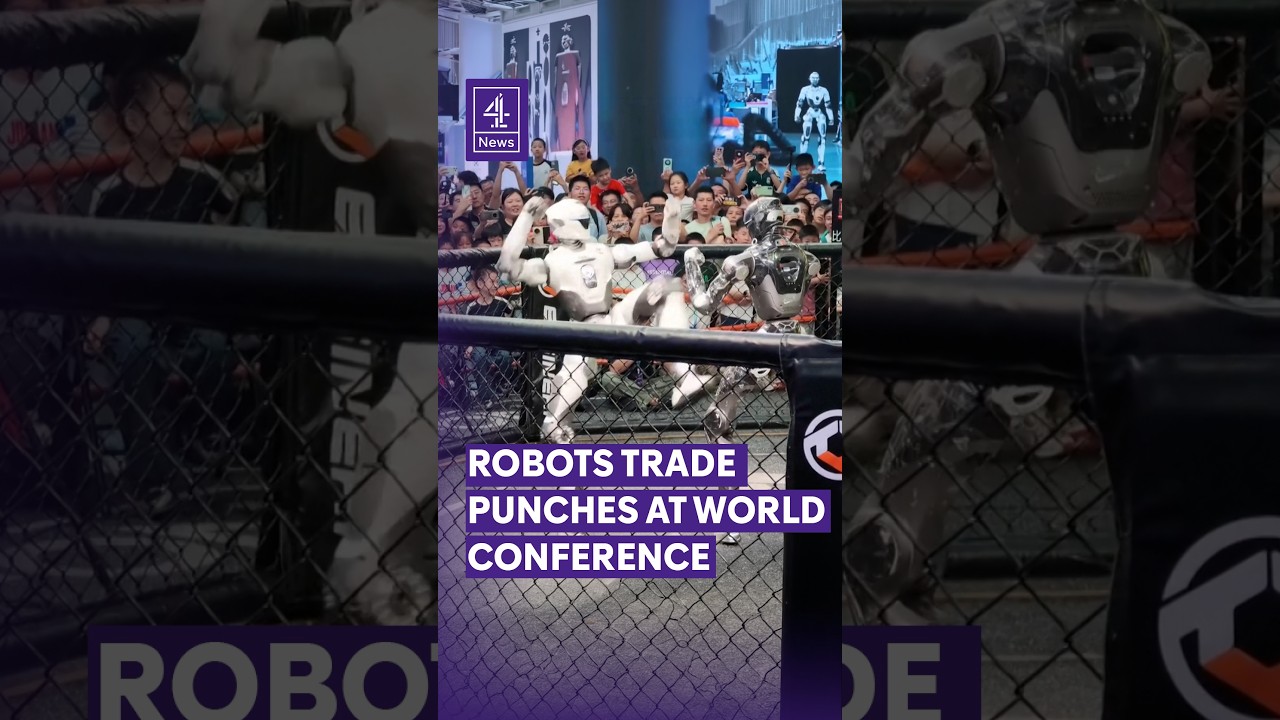 Humanoid robots throw punches at 2026 World Robot Conference