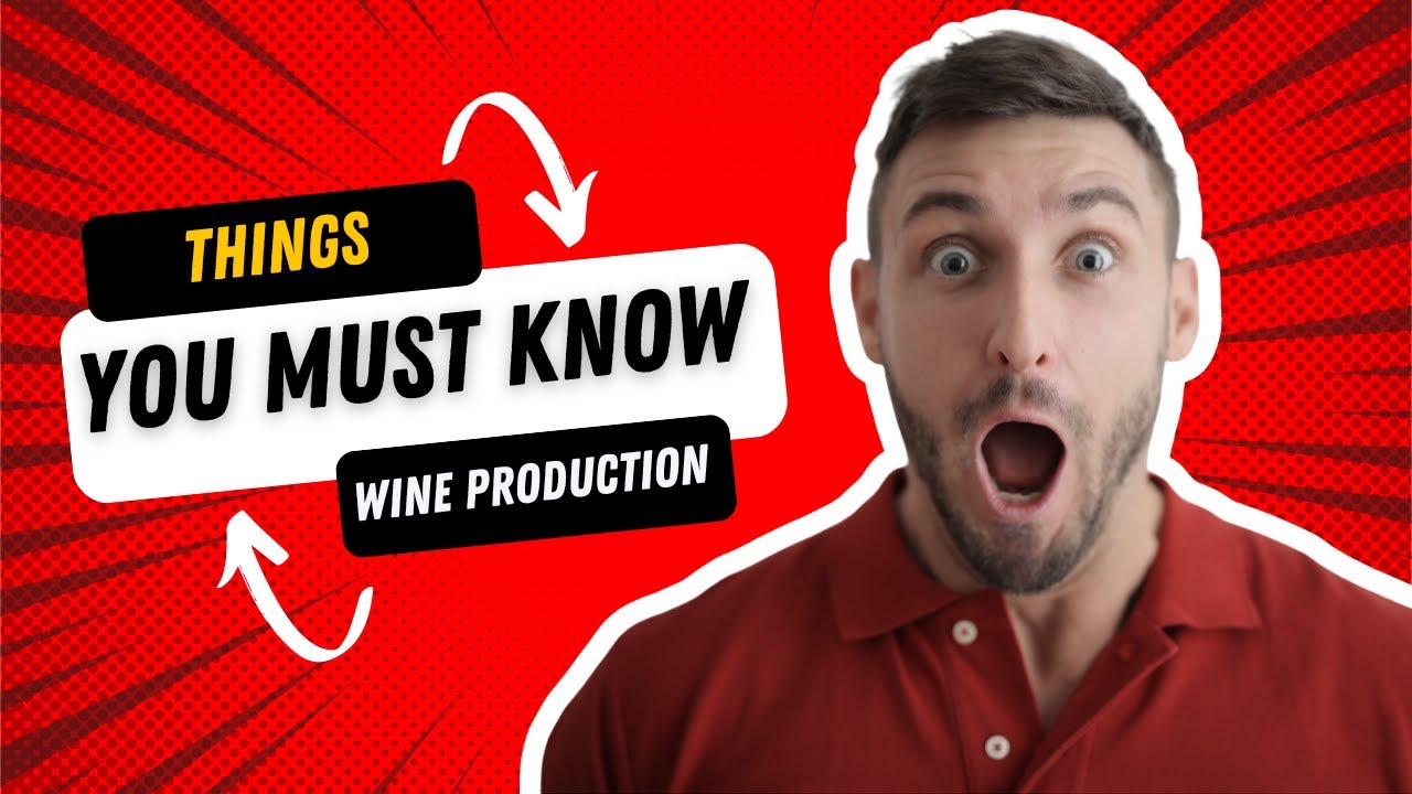 Modern Wine Production (the basics)